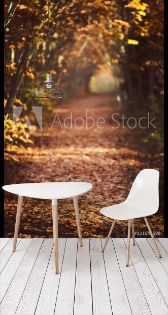 Picture of Autumn Fall Autumnal Park Autumn Trees and Leaves